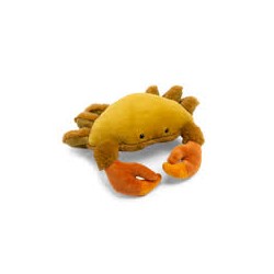 Petit crabe Tout autour du...