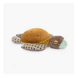 Petite tortue - Tout autour...