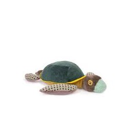 Grande tortue - Tout autour...